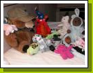 02-signed-stuffies.JPG